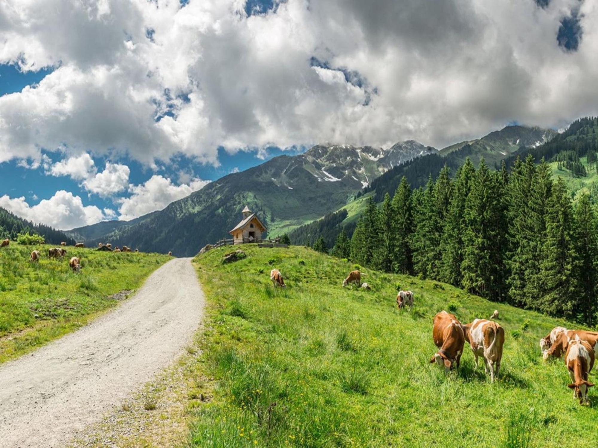 Holiday Village Wildschoenau, Wildschoenau-Niederau Dış mekan fotoğraf